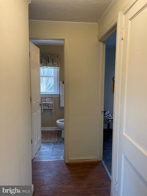 5081 Holly Springs Road Rixeyville, VA 22737 - Photo 28 of 71 Gallery Image 28