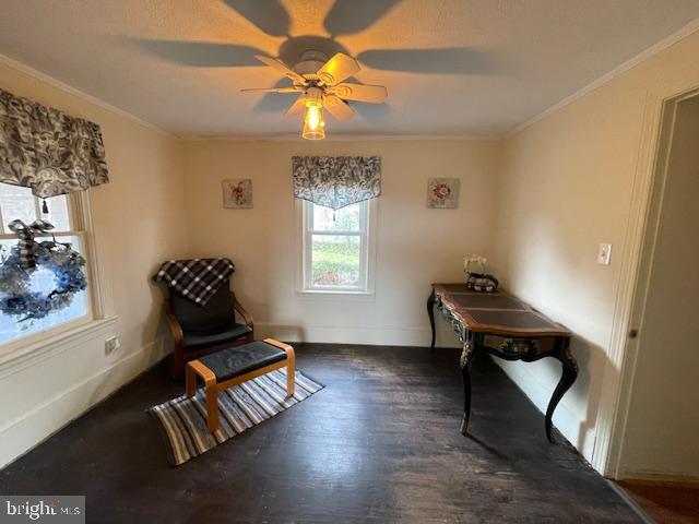 5081 Holly Springs Road Rixeyville, VA 22737 - Photo 42 of 71 Gallery Image 42