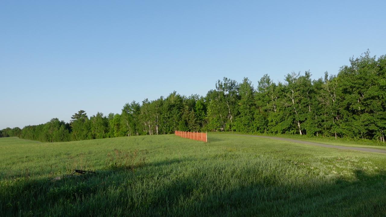 Tbd Bakkum Road Northeast Bemidji, MN 56601 - Photo 4 of 9