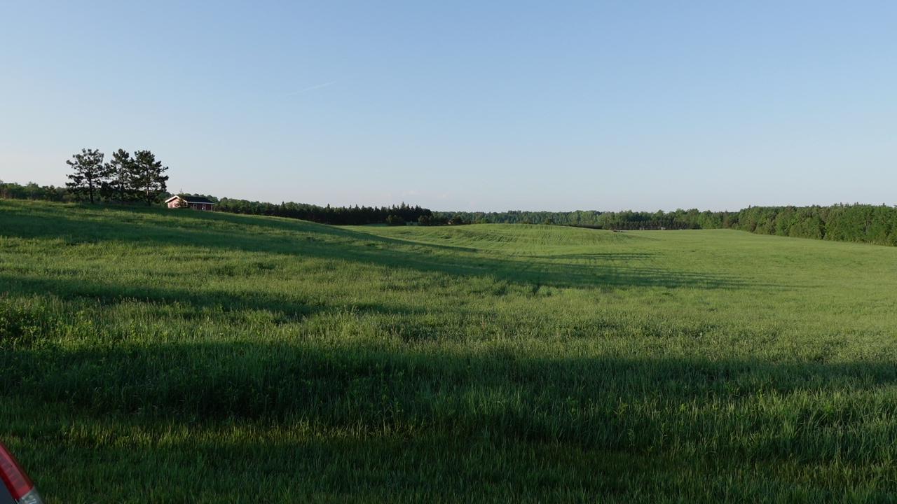 Tbd Bakkum Road Northeast Bemidji, MN 56601 - Photo 5 of 9