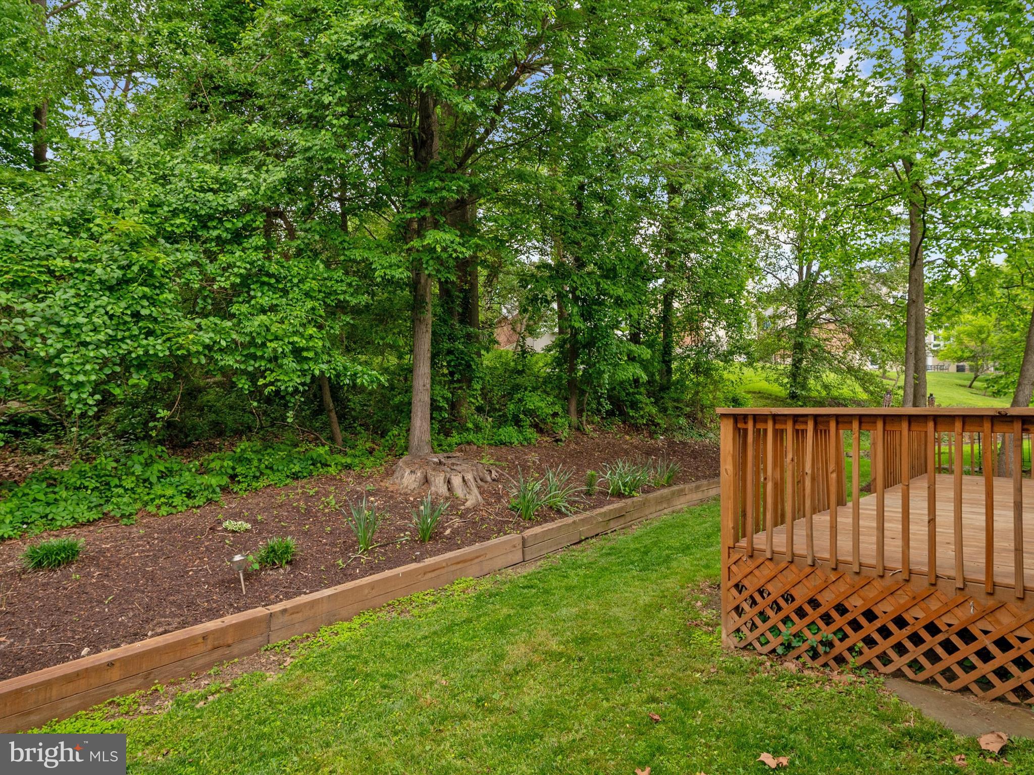 14226 Greenview Drive Laurel, MD 20708 - Photo 43 of 46 a view of a backyard with a trees