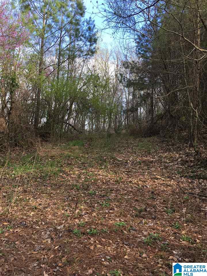 230 County Line Road Oxford, AL 36203 - Photo 14 of 50