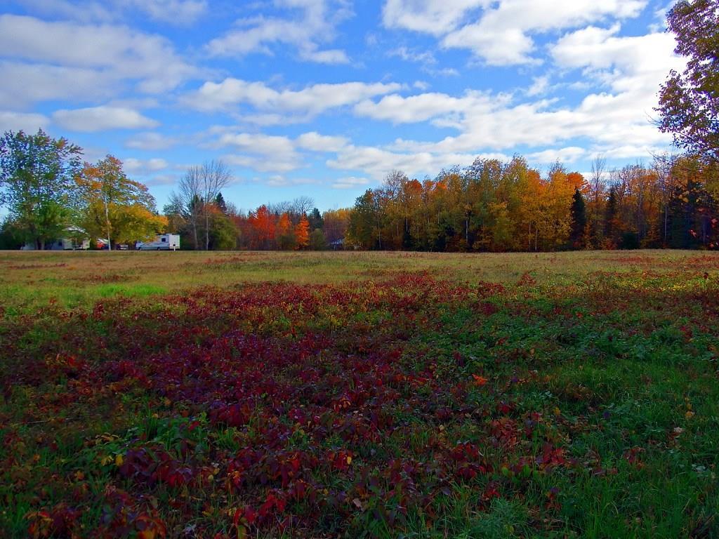 Lot 32 B Road Houlton, ME 04730 - Photo 34 of 35 Photo