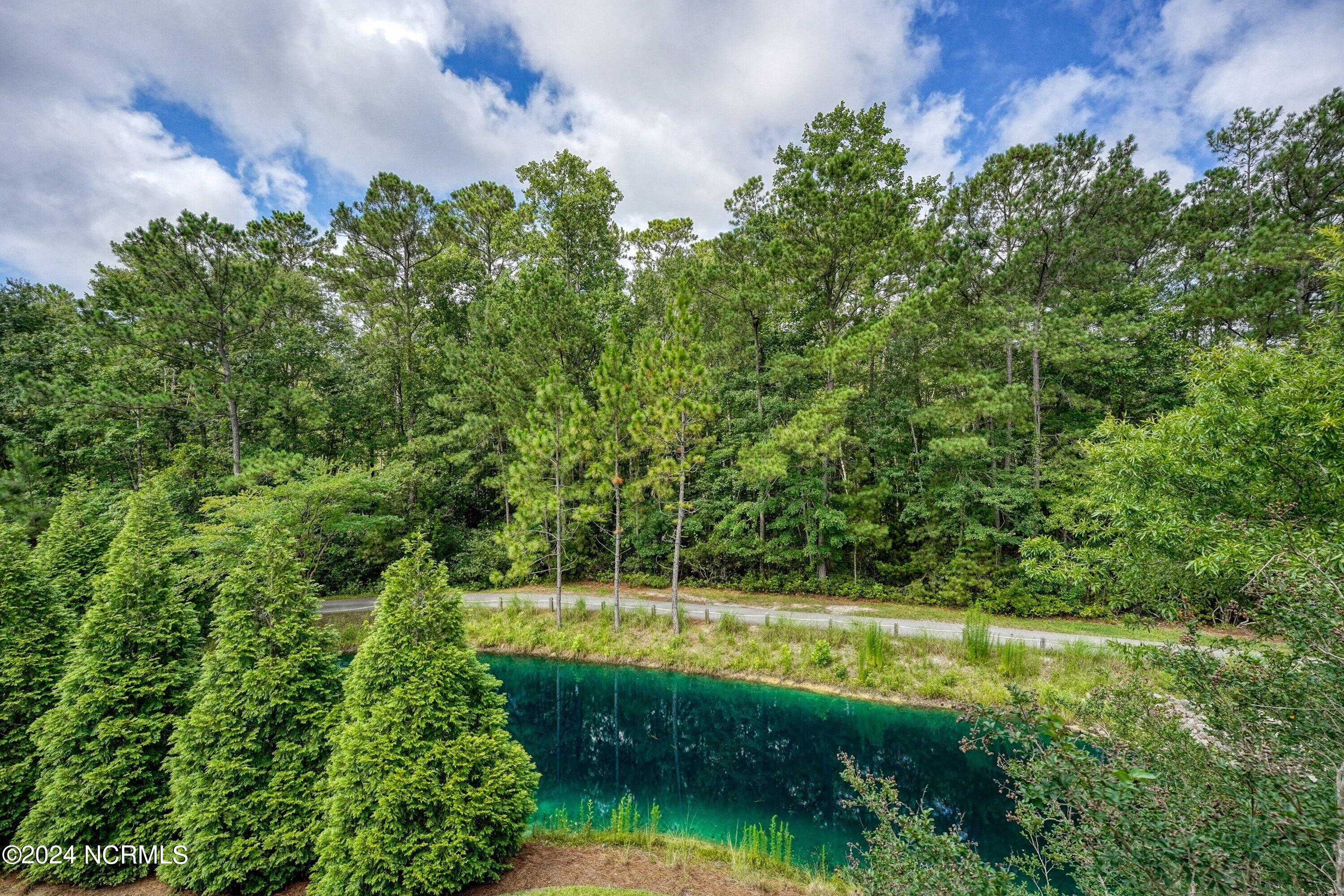 610 River Ridge Road, Unit 4 Shallotte, NC 28470 - Photo 54 of 54 21-115_A7401306(0)_112