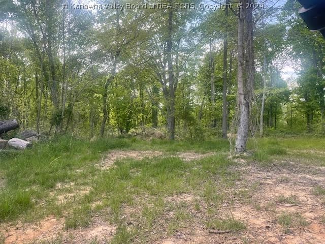 0 Rt 62 Road Millwood, WV 25262 - Photo 13 of 13 Gallery Image 13