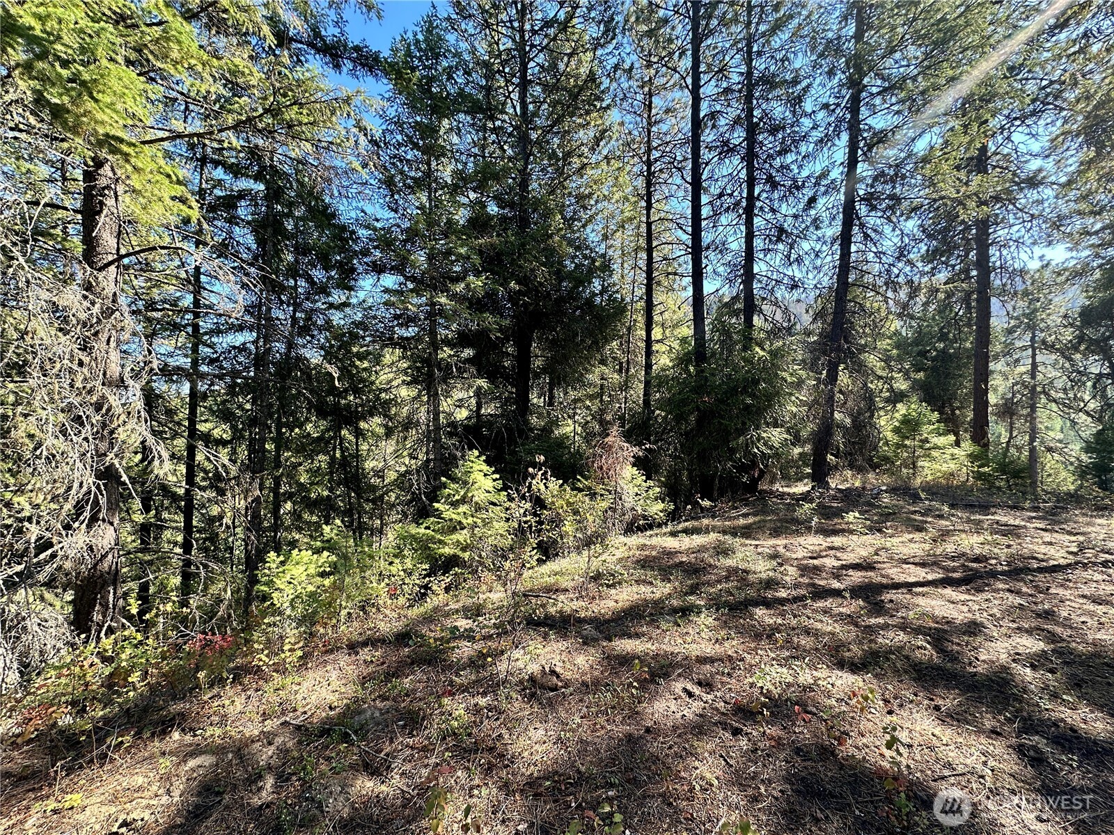 4 Deadman Creek Road Kettle Falls, WA 99141 - Photo 16 of 17 Gallery Image 16