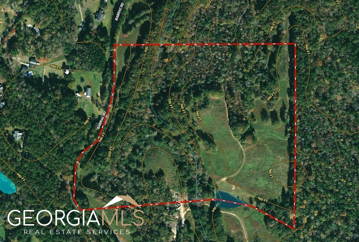 40-ac Babrack Road Newnan, GA 30263 - Photo 1 of 1 Gallery Image 1