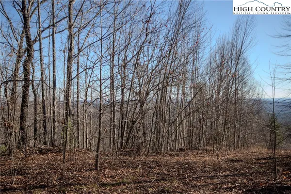 $89,000 | 2215 Nighthawk Ridge Court, Lenoir, NC 28645
