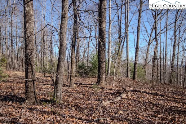 $89,000 | 2215 Nighthawk Ridge Court, Lenoir, NC 28645