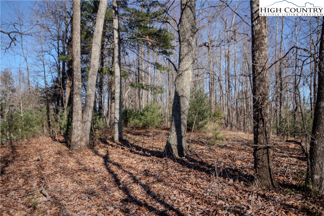 2215 Nighthawk Ridge Court Lenoir, NC 28645 - Photo 7 of 11