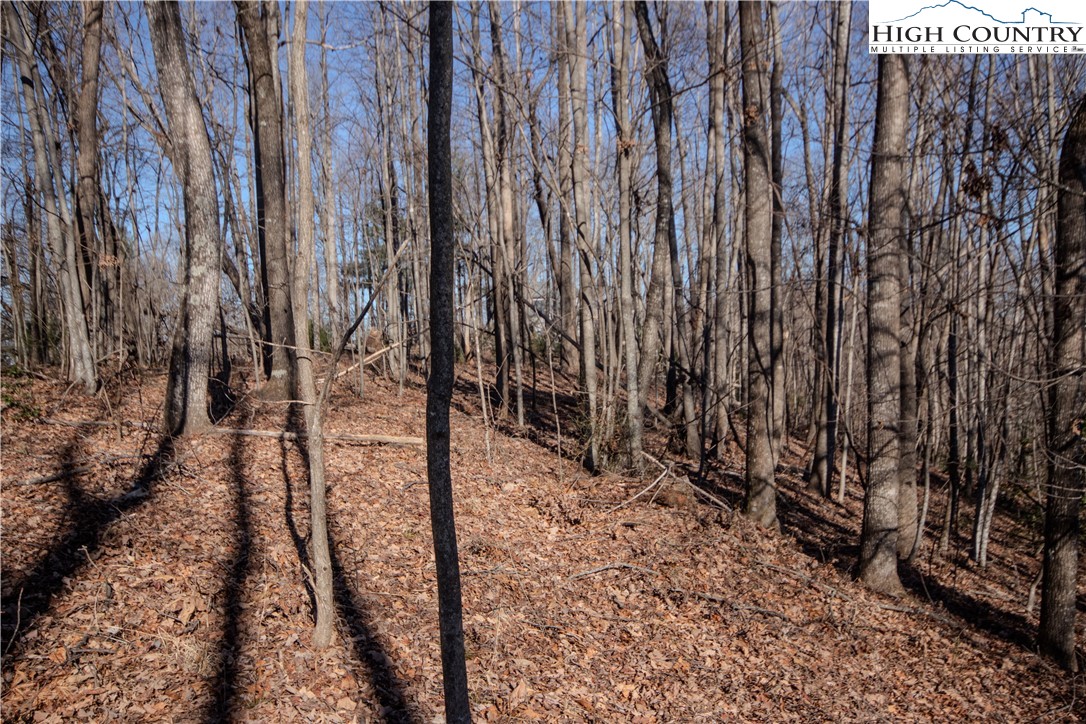 2215 Nighthawk Ridge Court Lenoir, NC 28645 - Photo 10 of 11