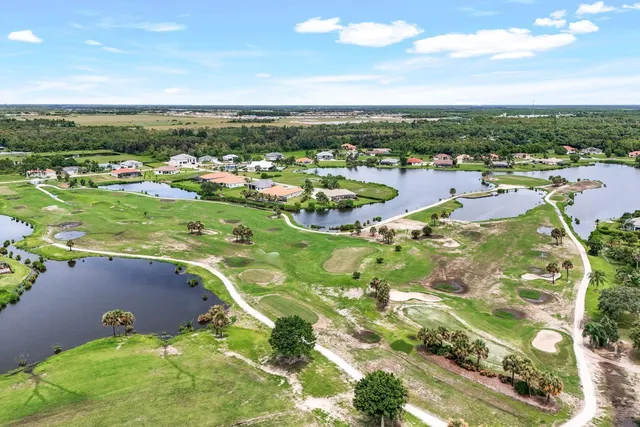 an aerial view of green landscape with trees