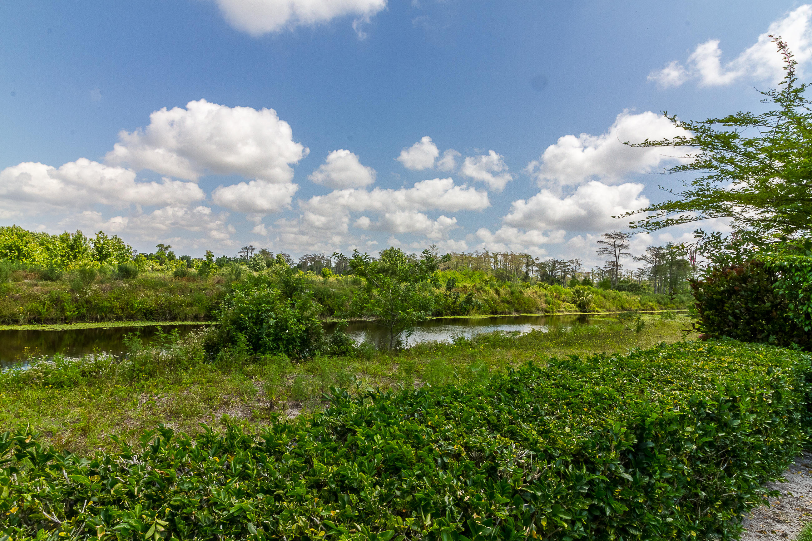 11753 Preservation Lane Boca Raton, FL 33498 - Photo 36 of 41 Backyard View 2