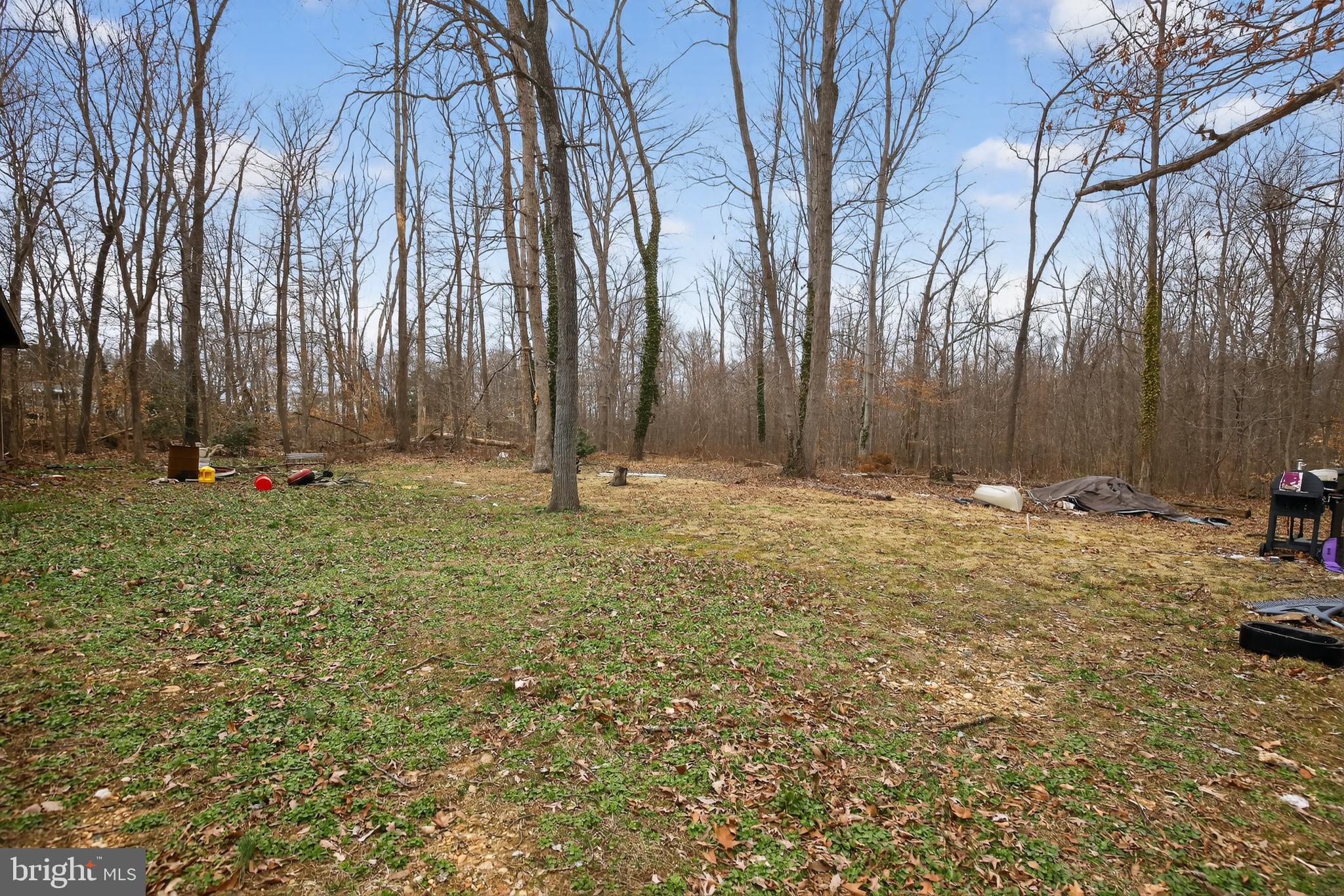 4144 Fox Trail Road Havre de Grace, MD 21078 - Photo 43 of 44 a view of outdoor space with trees