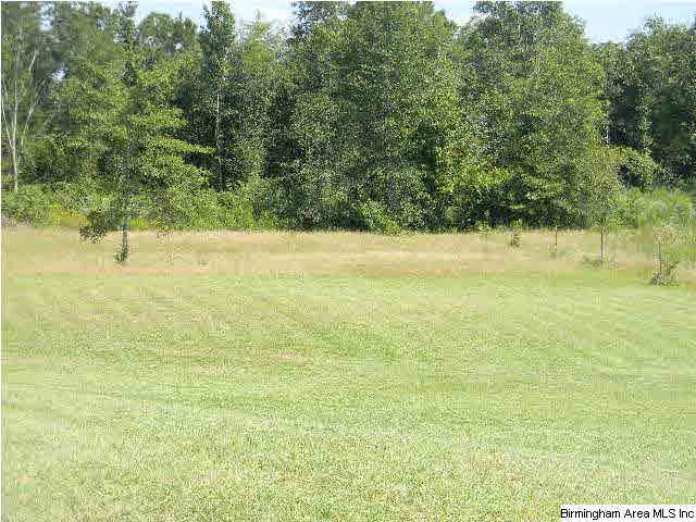 405 County Road 453 Clanton, AL 35046 - Photo 21 of 22
