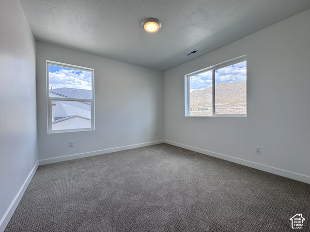 2633 Scarlet Road, Unit 259 Eagle Mountain, UT 84005 - Photo 22 of 29 Light gray carpeting with white walls and trim