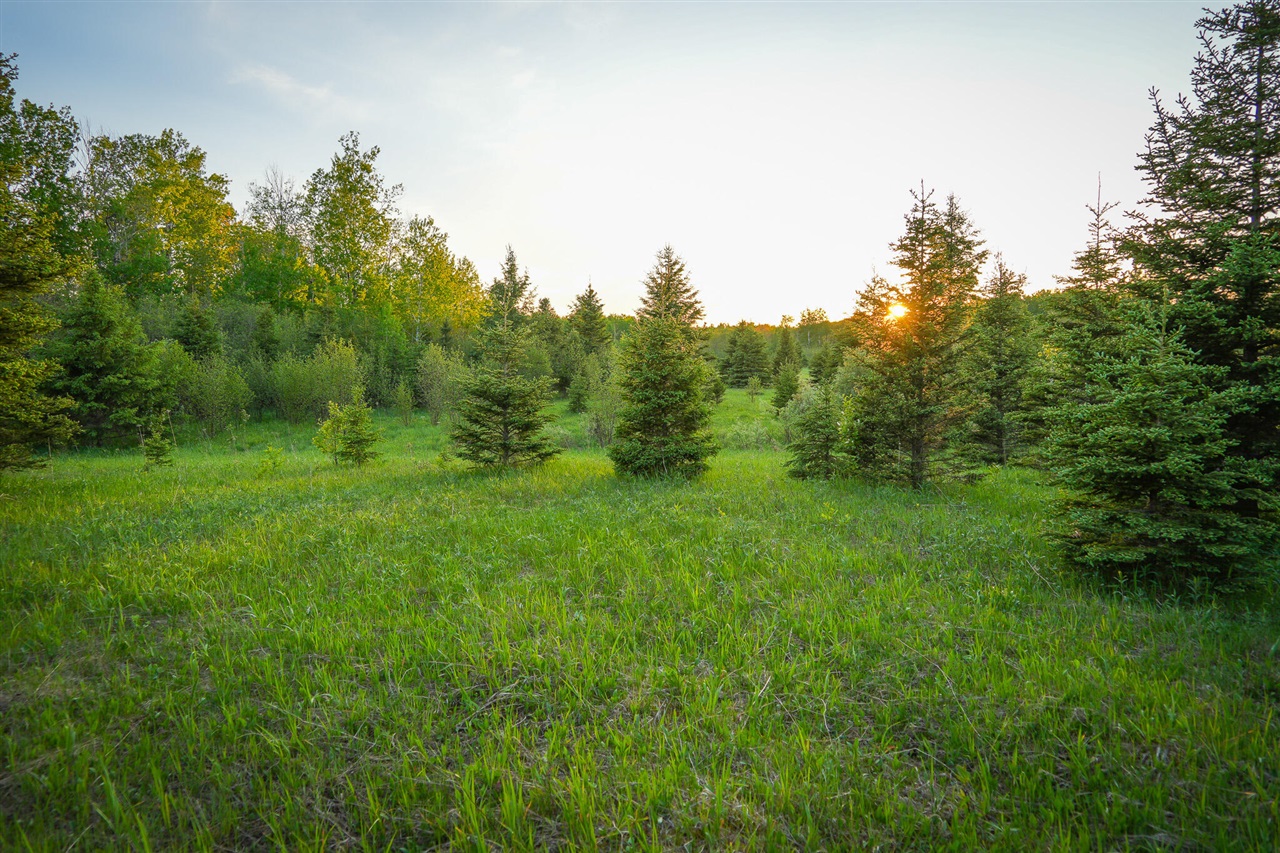 V/l V/l 33rd Road Gladstone, MI 49837 - Photo 67 of 70