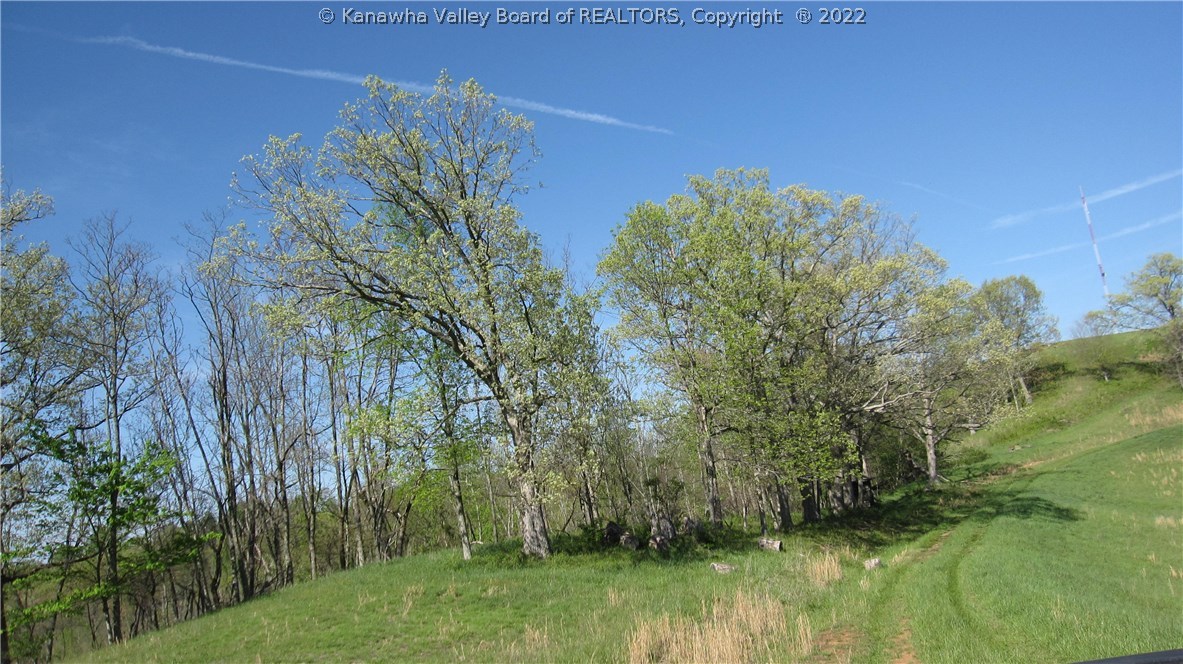 0 Edmonds Branch Road Ona, WV 25545 - Photo 13 of 28 Gallery Image 13