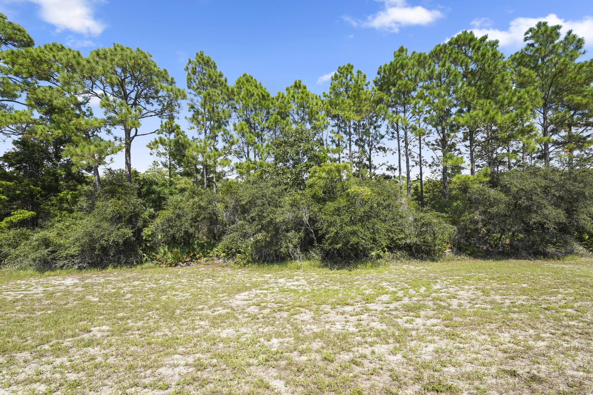 48 Cypress Walk Santa Rosa Beach, FL 32459 - Photo 4 of 17 a view of outdoor space and yard
