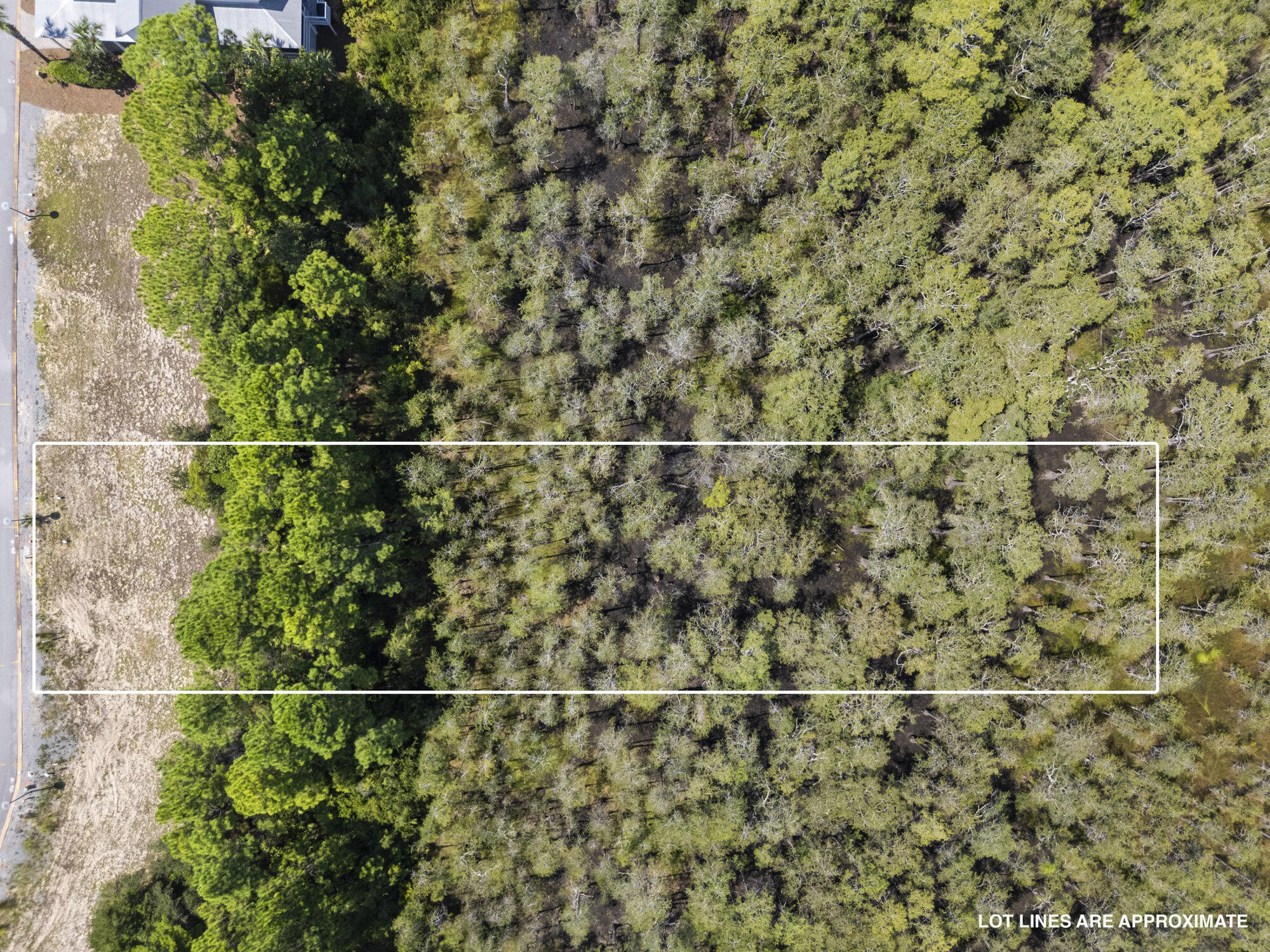 48 Cypress Walk Santa Rosa Beach, FL 32459 - Photo 6 of 17 view of a yard
