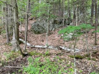 0 Cramm Road Parsonsfield, ME 04047 - Photo 5 of 17 IMG950383