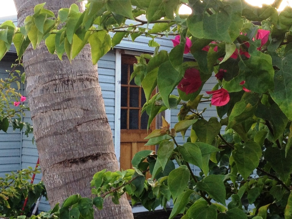 17 Swallow Road Key Largo, FL 33037 - Photo 28 of 28 View from Street