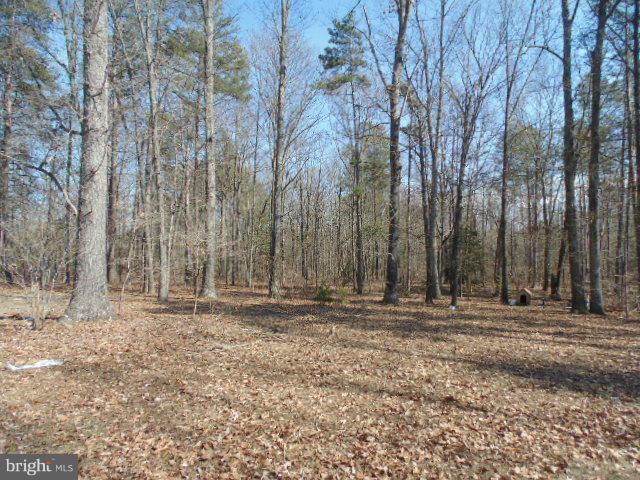 23529 School House Road Ruther Glen, VA 22546 - Photo 6 of 15 View