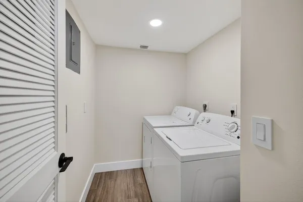 a view of a palm plant and a palm tree