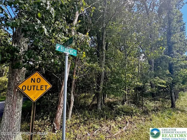 a backyard of a house with lots of plants and large trees