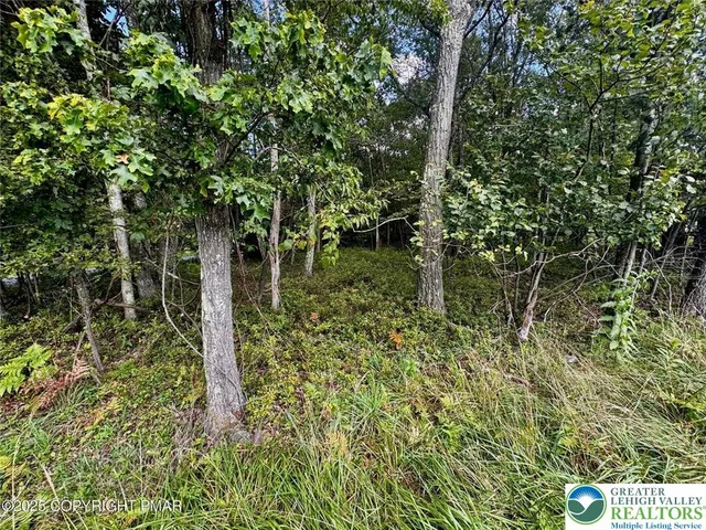 a backyard of a house with lots of green space and outdoor seating