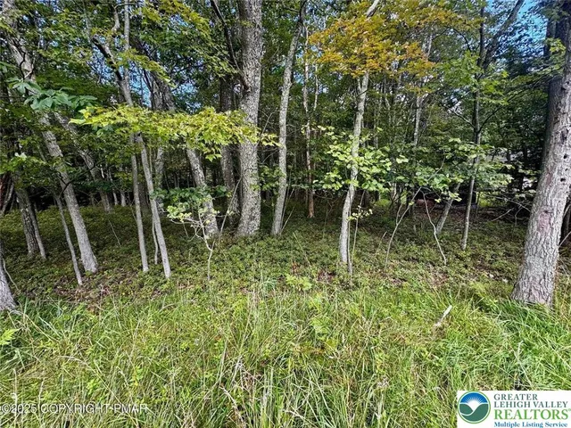a view of outdoor space and trees