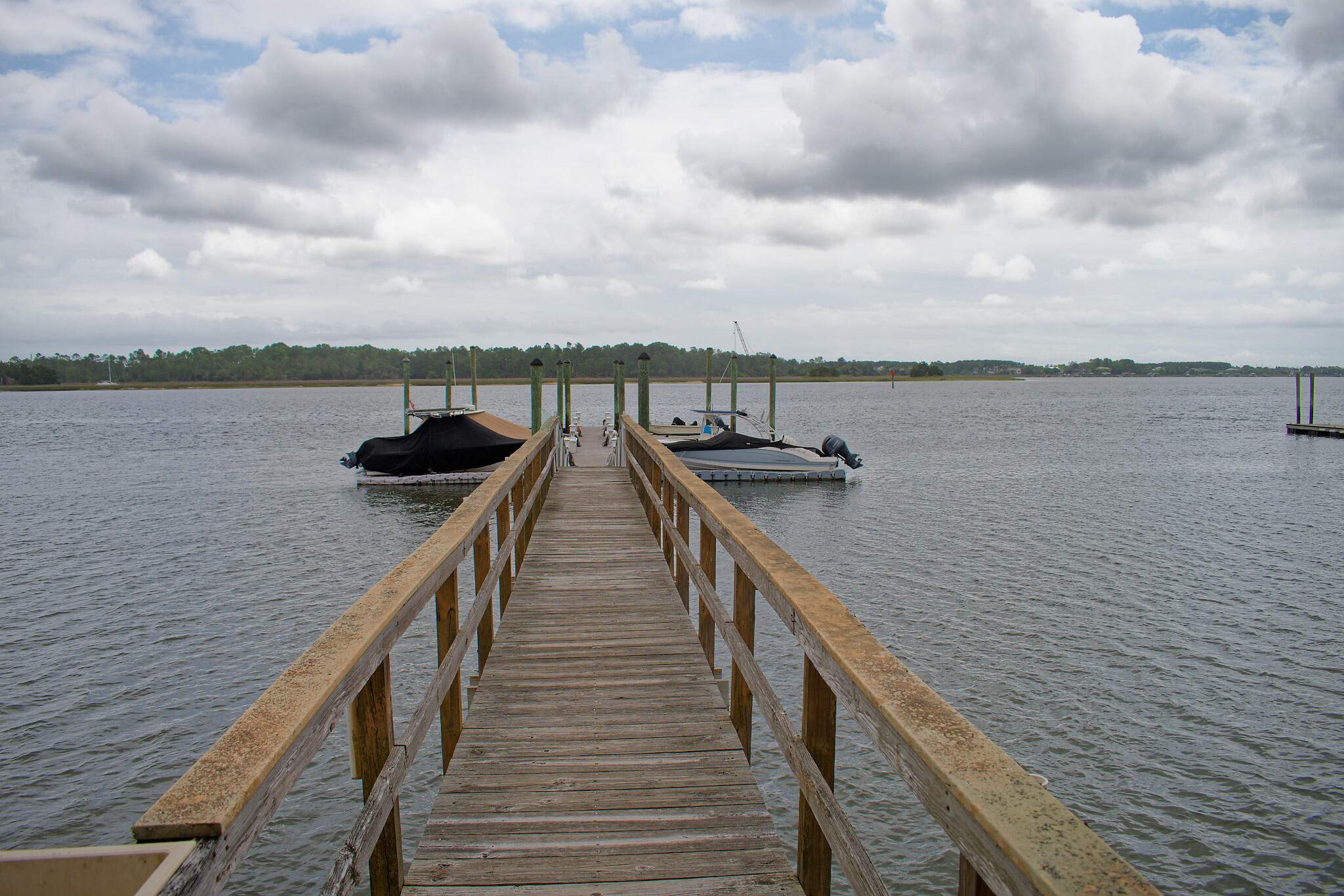1179 Rivers Reach Drive Charleston, SC 29492 - Photo 74 of 75