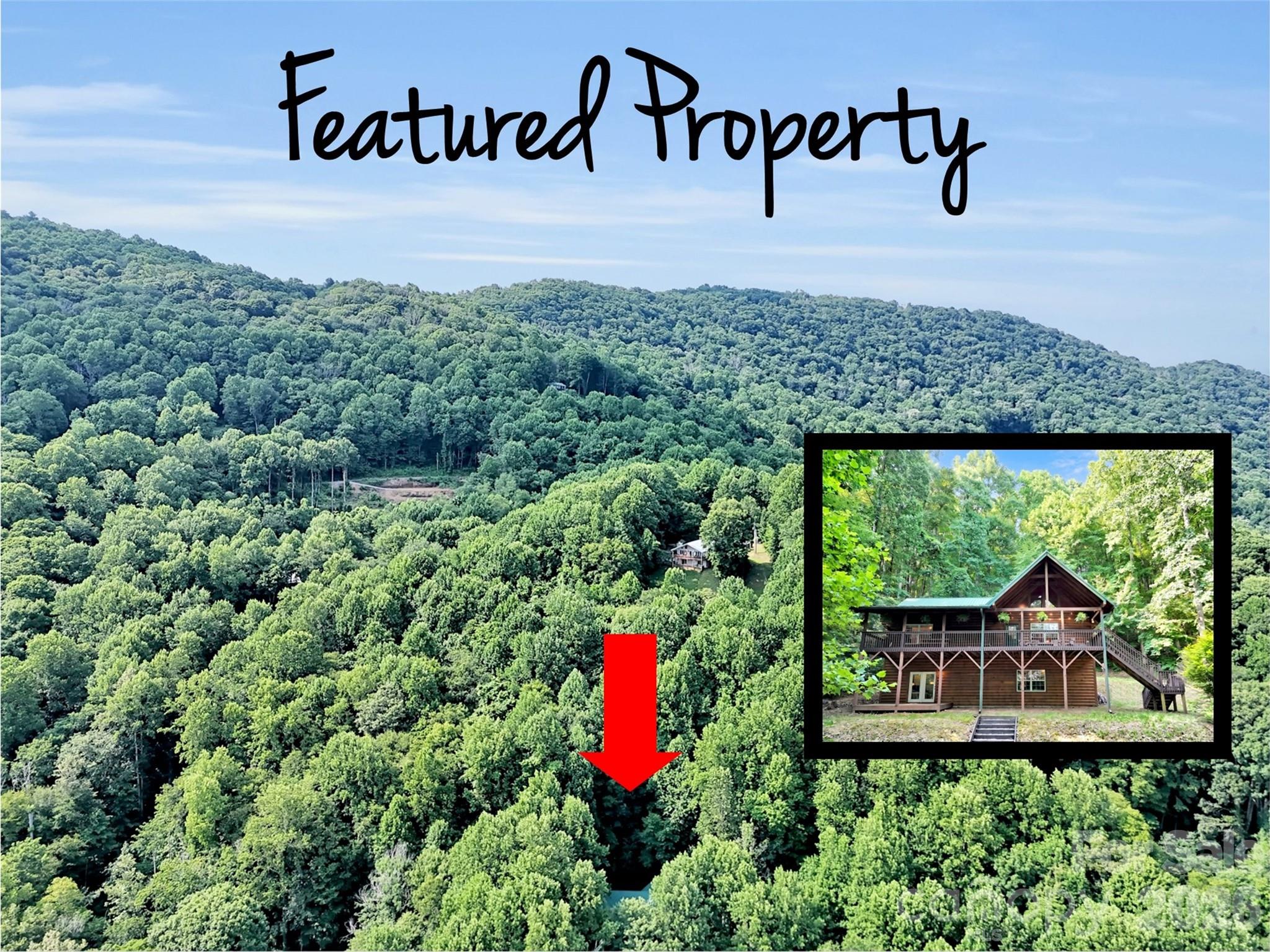 49 Brandywine Road Waynesville, NC 28786 - Photo 34 of 38 a view of outdoor space