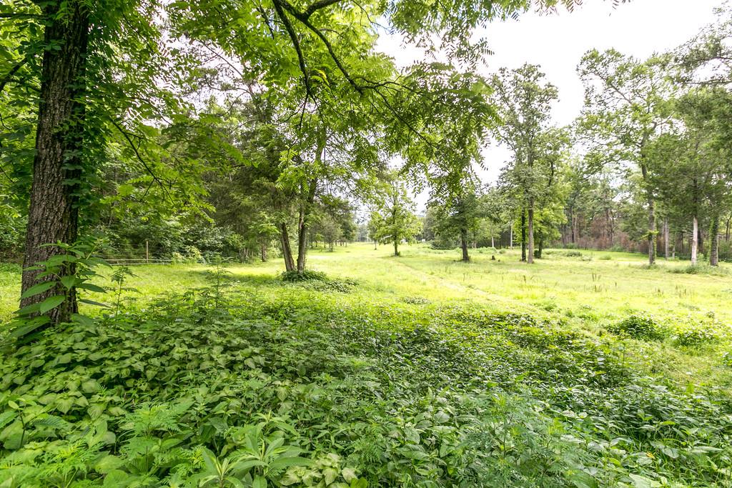 13677 Versailles Road Rockvale, TN 37153 - Photo 24 of 25 a view of outdoor space with a garden