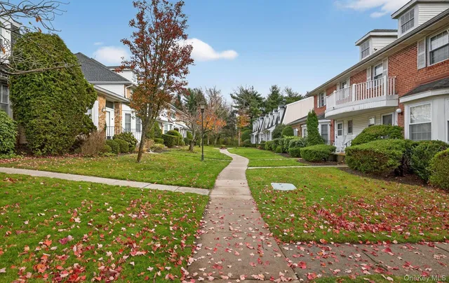 a park with tall trees