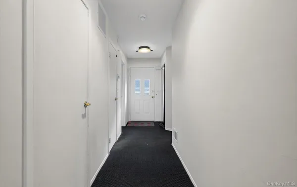 a view of a backyard with plants