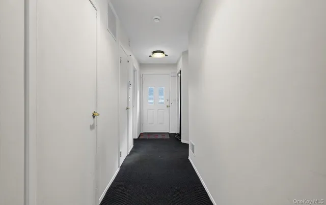 a view of a backyard with plants