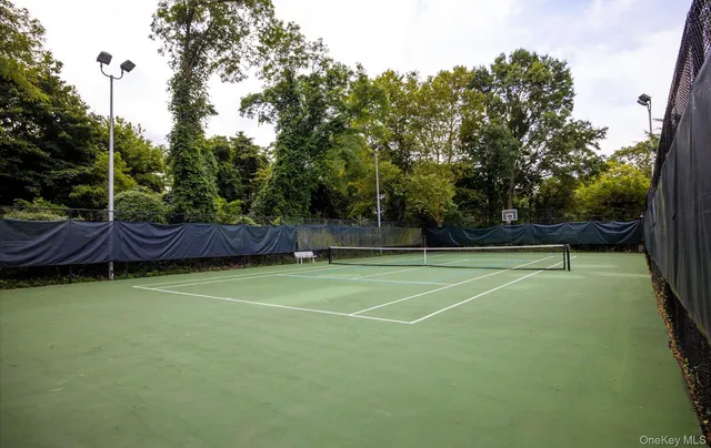 a view of a park with slide