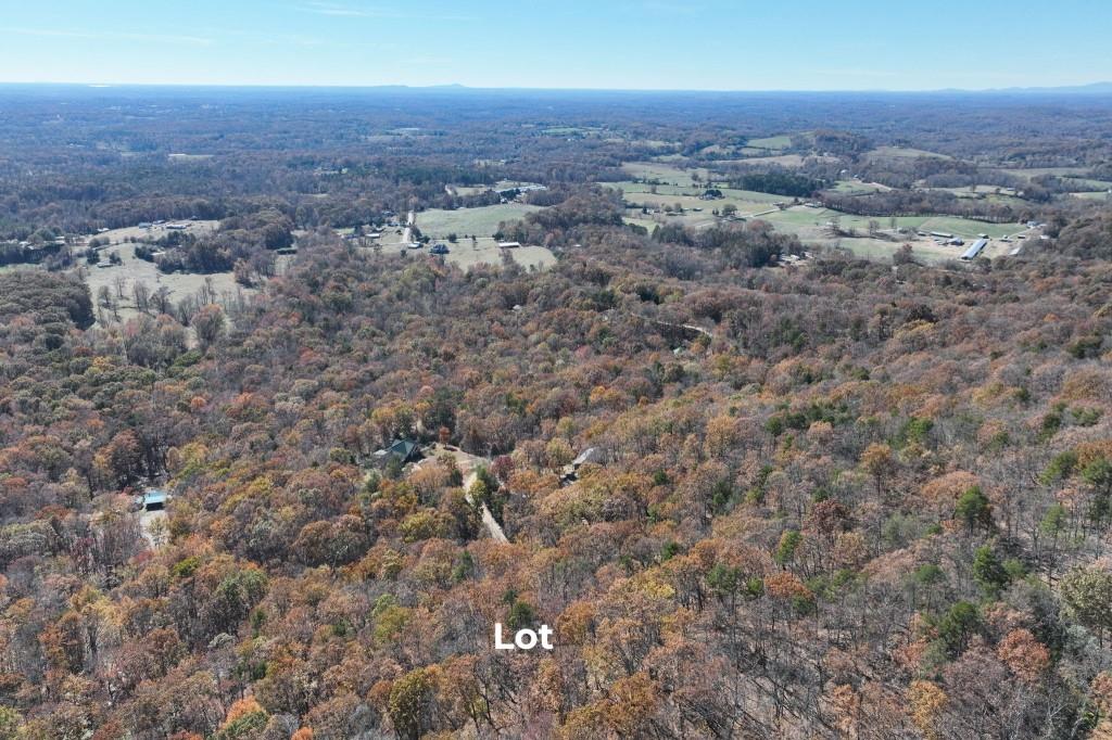 Lot 34 Wauka Ridge Road Cleveland, GA 30528 - Photo 11 of 14