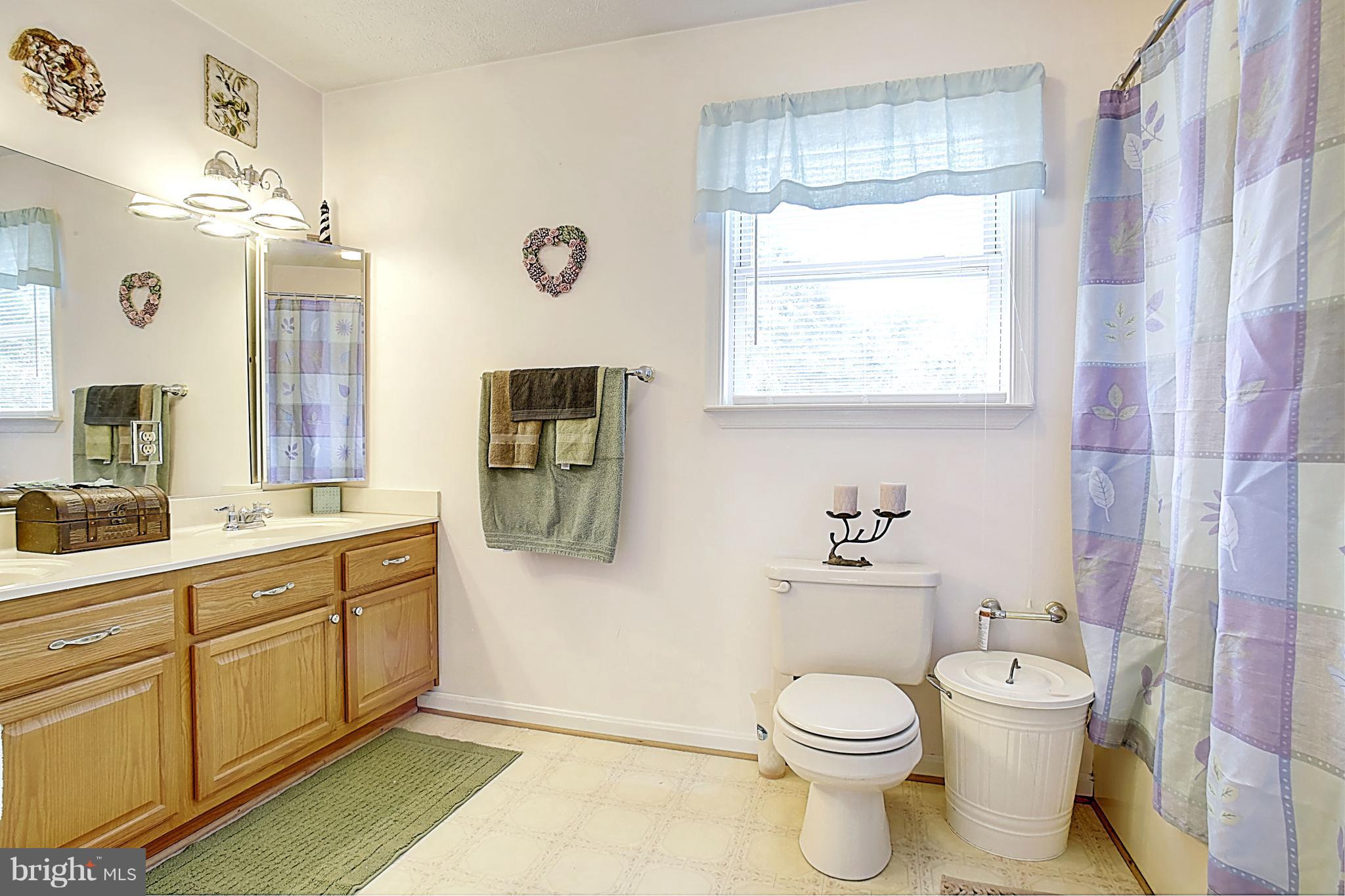 7445 Carver Road Gainesville, VA 20155 - Photo 16 of 30 Bath (Master)