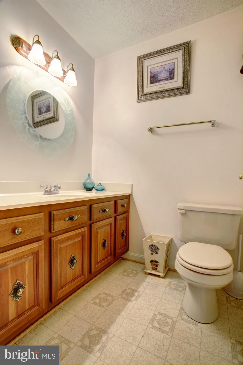 7445 Carver Road Gainesville, VA 20155 - Photo 21 of 30 Bath