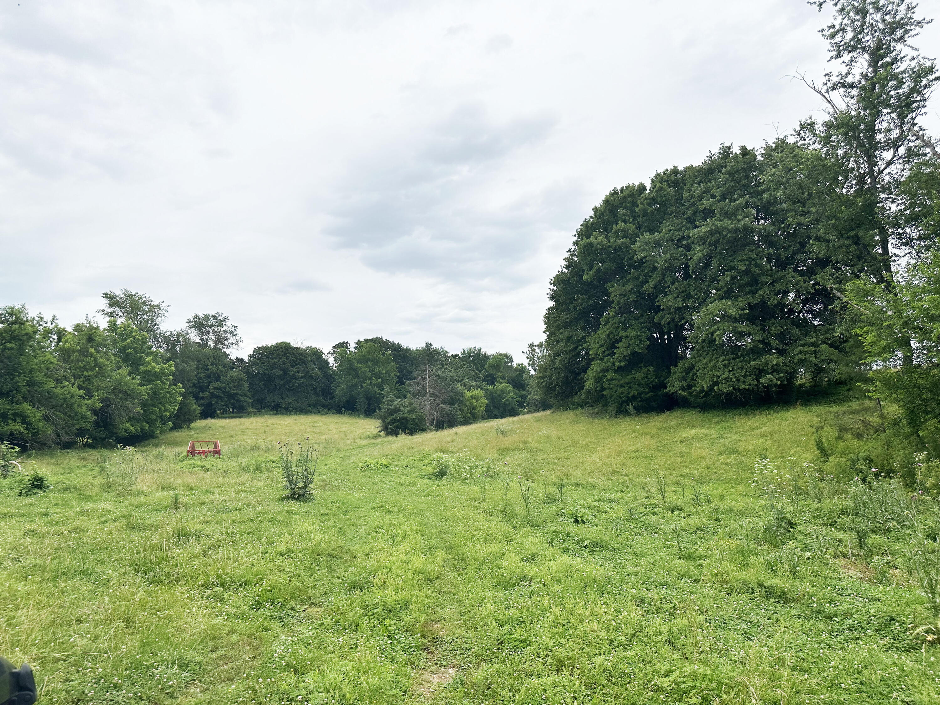73 Gamble Road Billings, MO 65610 - Photo 26 of 31 IMG_4381-a