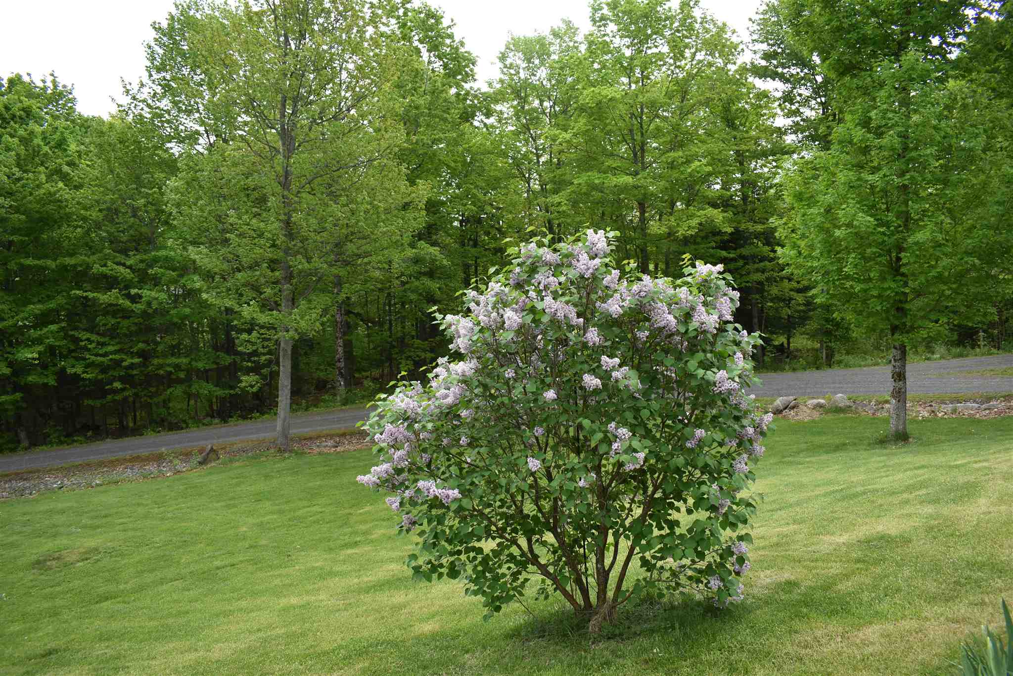 638 Hinman Road Glover, VT 05839 - Photo 13 of 40
