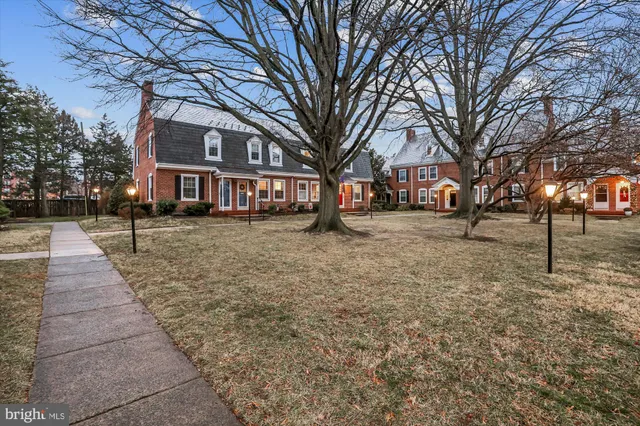 a street view with large trees