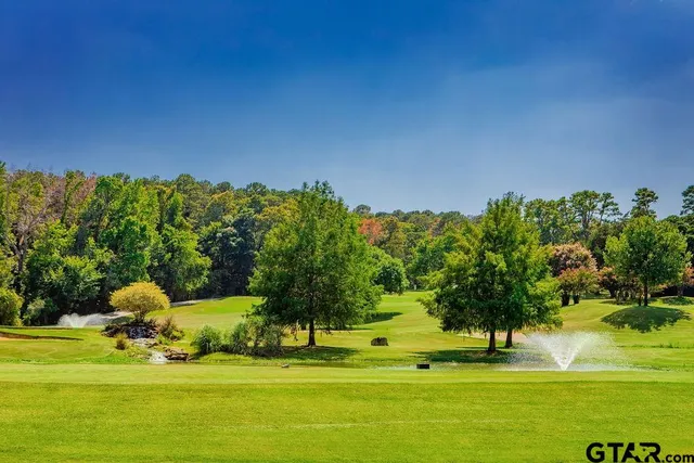 a view of a golf course with a trees