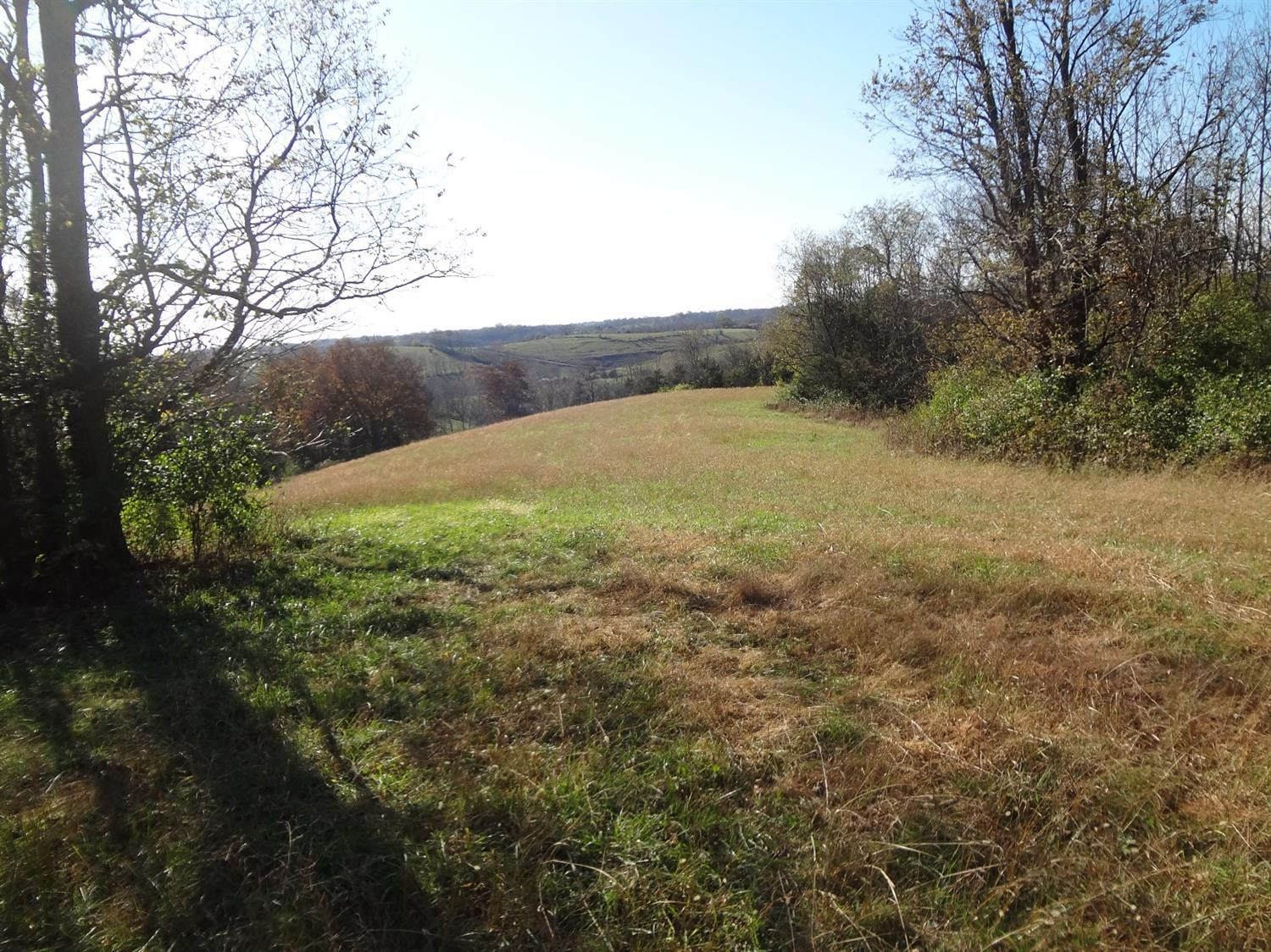 3310 Irvine Road Winchester, KY 40391 - Photo 2 of 19 Listing Photo