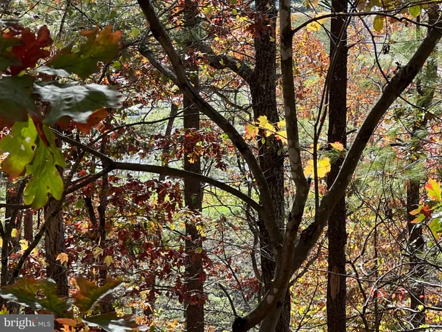 $33,500 | 0 Brenda Lane, Mount Jackson, VA 22842