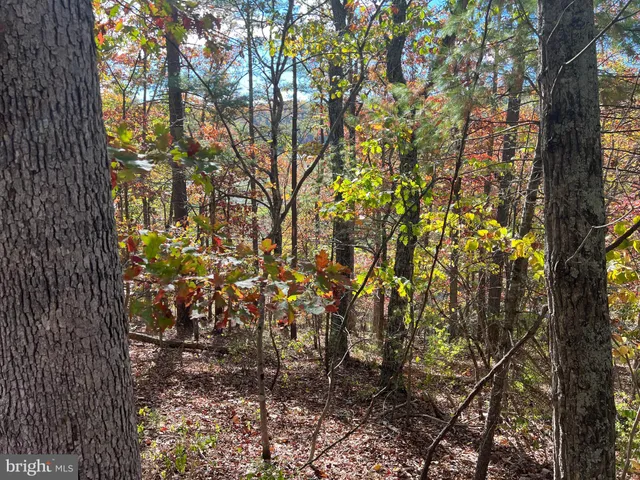 $33,500 | 0 Brenda Lane, Mount Jackson, VA 22842