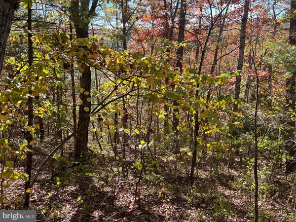 $33,500 | 0 Brenda Lane, Mount Jackson, VA 22842