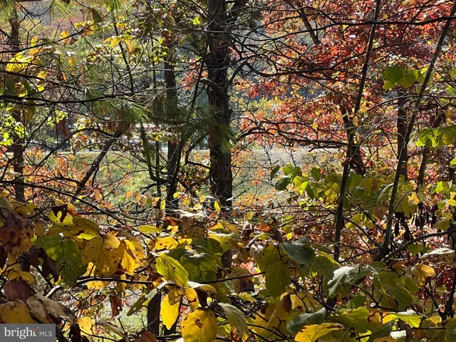 $33,500 | 0 Brenda Lane, Mount Jackson, VA 22842